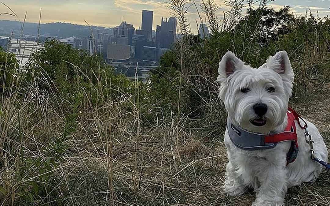 Do you know the cutest St Paul park champion ever?