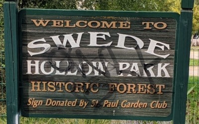Swede Hollow: New Signage in Process