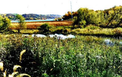 Pig’s Eye Park Will Get New Visibility