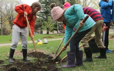 Plant a Tree May 22