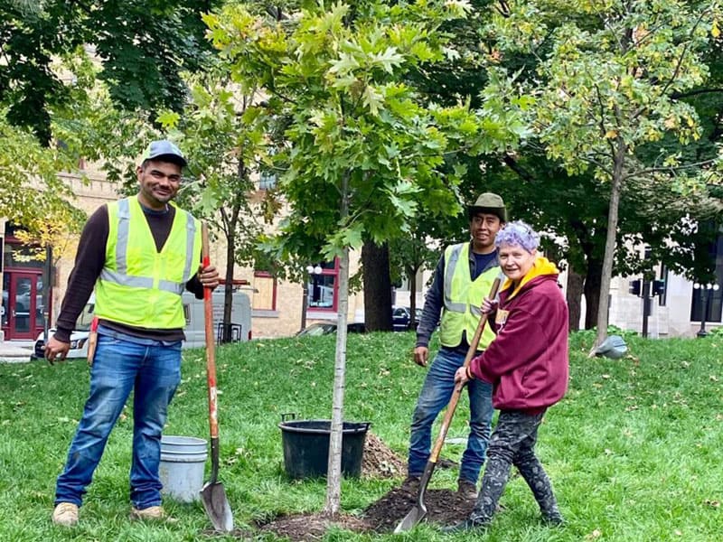 Gift a Tree! (No Supply Chain Issues!)