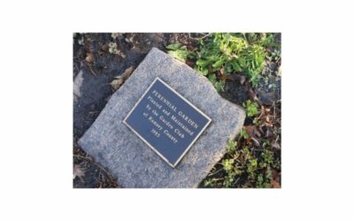 Volunteer Spotlight: Garden Club of Ramsey County