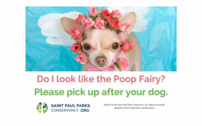 Downtown Dog Waste Stations Installed