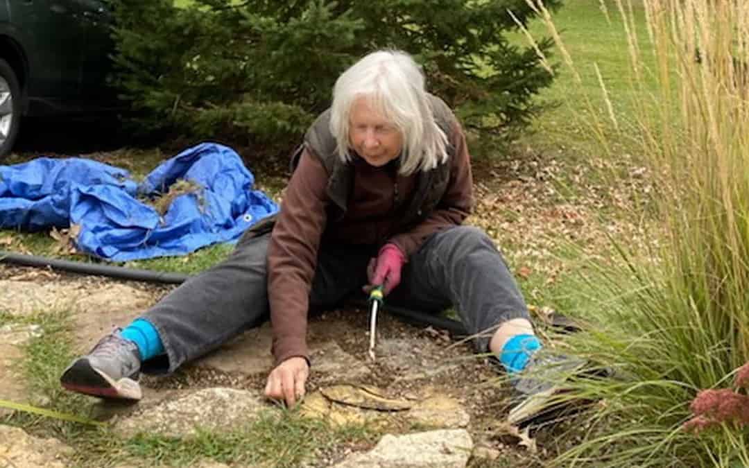 Volunteer Spotlight: Mem Lloyd and the Poetry Park