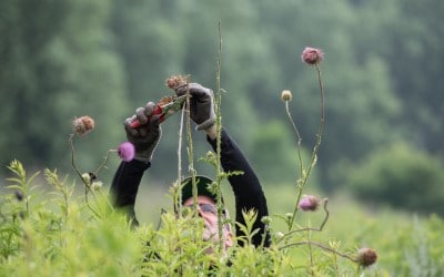 Volunteer Round Up for 2022