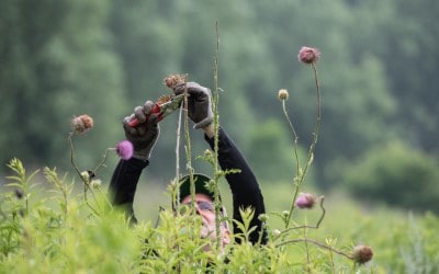 Bruce-Vento-025_400x250