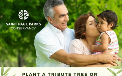 Save 10% off on Memorial Trees and Benches
