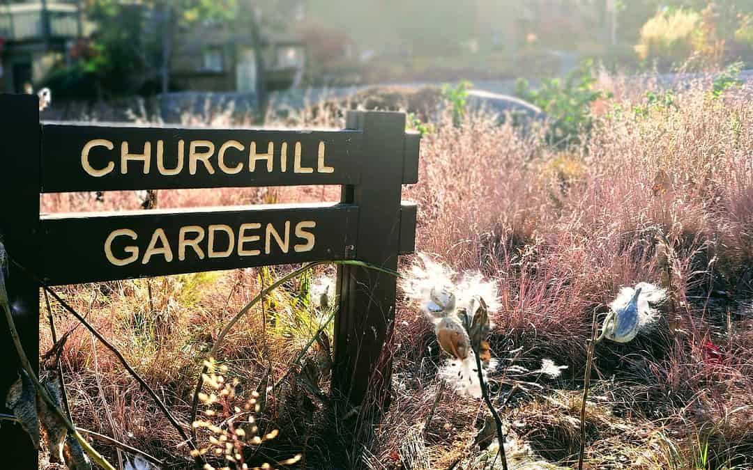 Volunteer Spotlight: Alison Goetzman