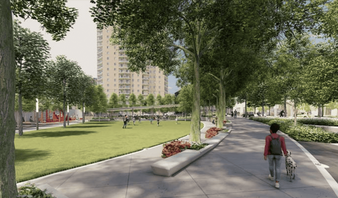 New Pedro Park Designs