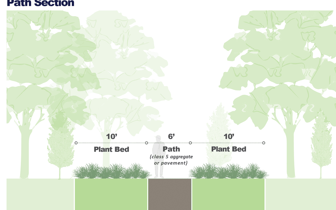 Swede Hollow Woodland Garden Update