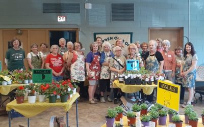 Donor Spotlight: The Garden Club of Ramsey County