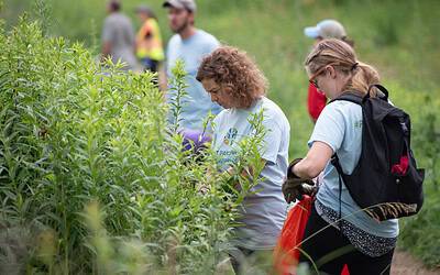 Seed Squad – Native Seed Collection