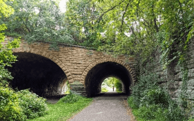 Exciting Developments at Swede Hollow Park